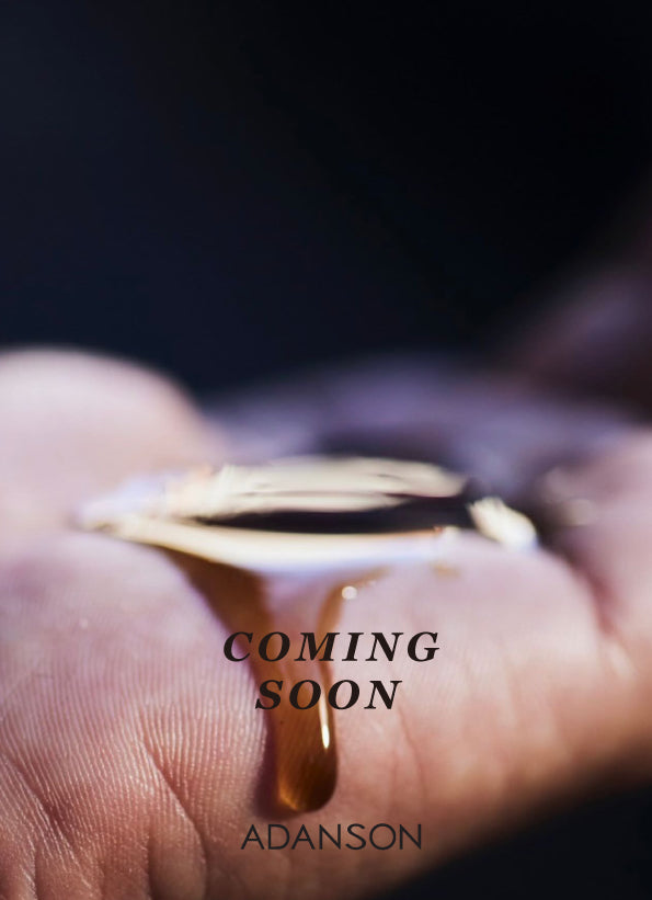 ADANSON プライム ボリューム シャンプー (パウチ)